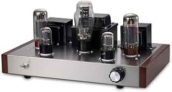 61JS+tEUVtL._AC_UF350,